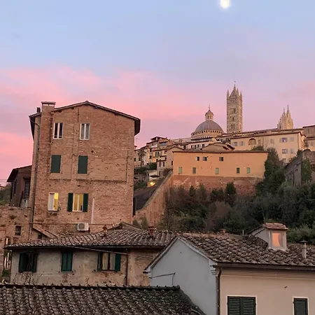 홈스테이 Spacious - 5 Min Walk To Piazza Del Campo 시에나